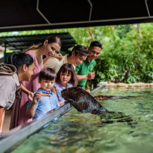 Singapore River Wonders