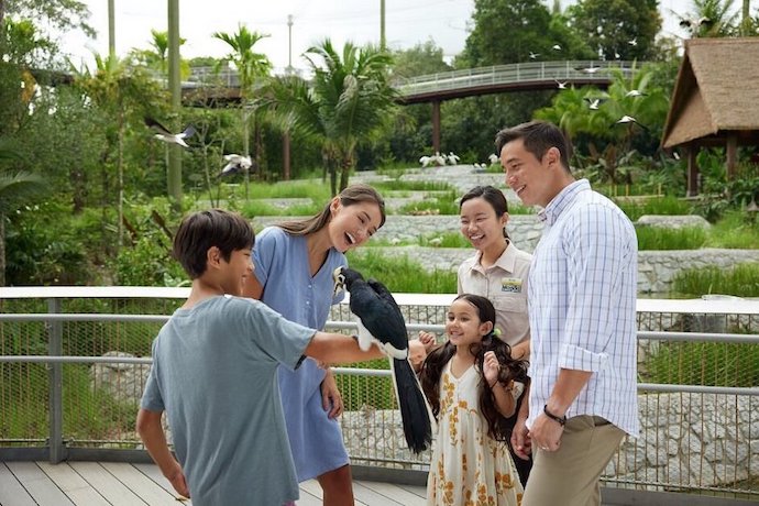 Bird Paradise Singapore