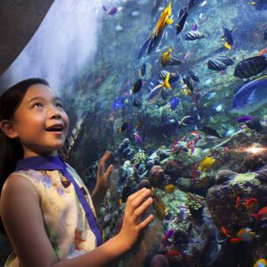 The Lost World Aquarium