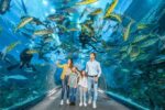 Dubai Mall Aquarium