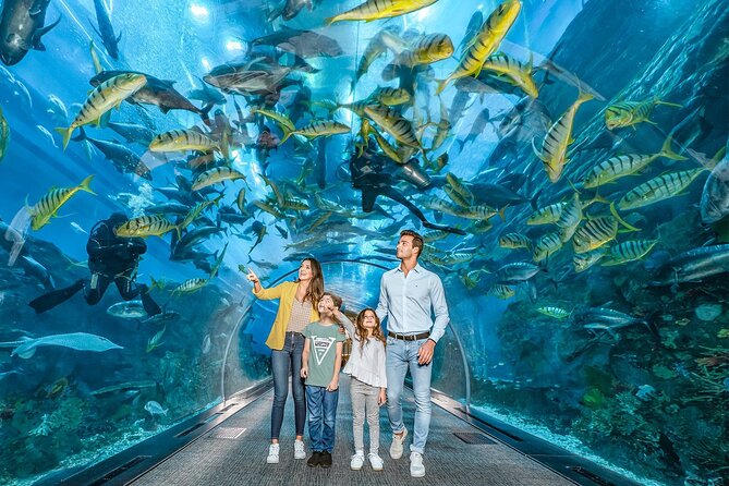 Dubai Mall Aquarium