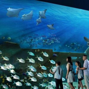 Singapore Oceanarium