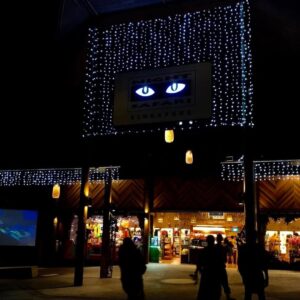Night Safari Singapore