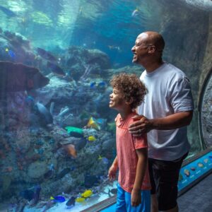 Aquarium of the Pacific California