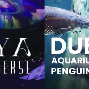 AYA + Dubai Aquarium and Penguin Cove