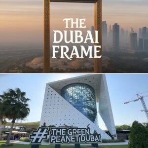Dubai Frame + The Green Planet